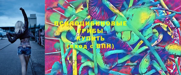 2c-b Алзамай