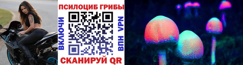 Псилоцибиновые грибы Cubensis  наркошоп  Аша 